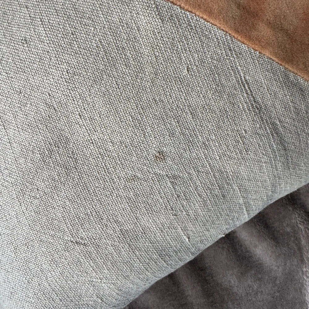 West Elm Orange and Cream Throw Pillow